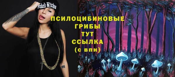 винт Абаза