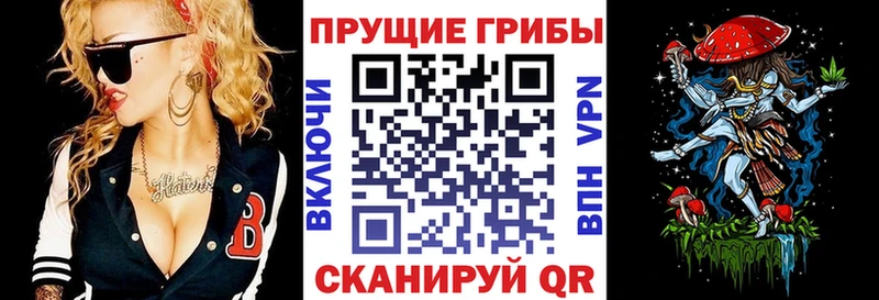 Галлюциногенные грибы Cubensis  дарнет шоп  Топки 